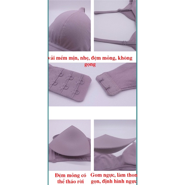 Áo Lót Bralette Không Gọng Đệm Mỏng (AL22)