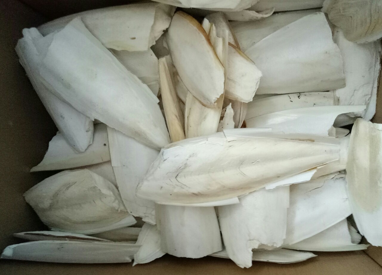 100Gram NAN MỰC CHO CHIM,VẸT,YẾN PHỤNG BỔ SUNG CANXI.