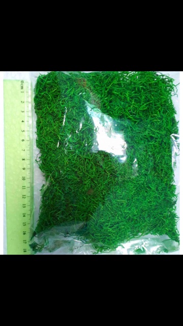 Cỏ Bột Rêu , Sợi