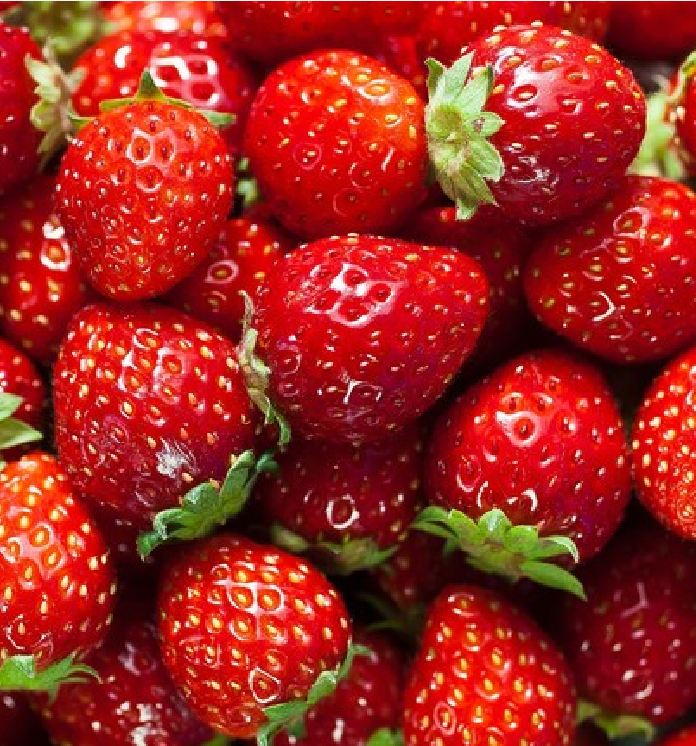 "Gói 50 "Hạt giống dâu tây đỏ khổng lồ [Seeds]