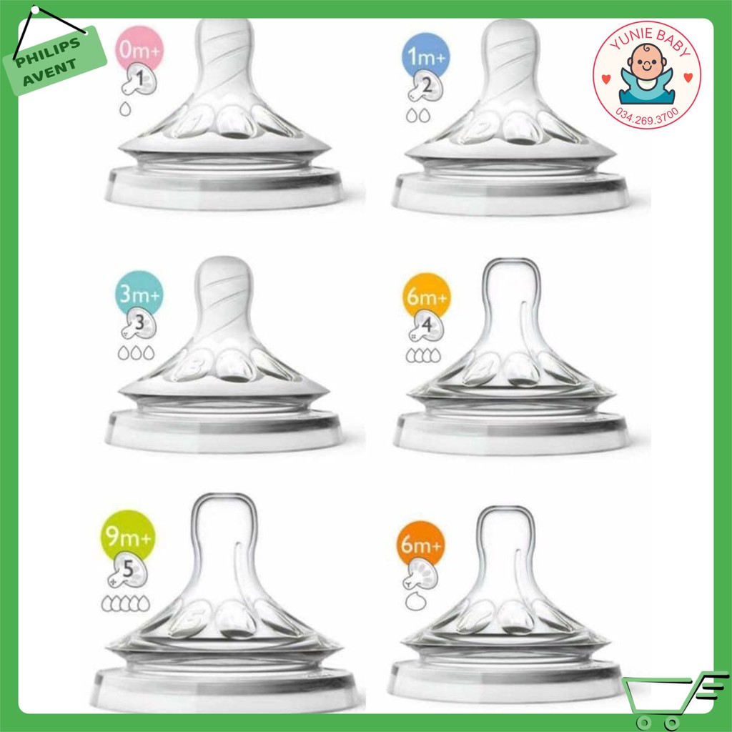 Núm ty avent natural số 1 -> số 5, y cut