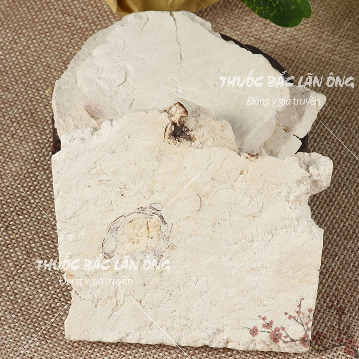 Phục thần nguyên chất 500g, hàng khô, thơm - Lãn Ông