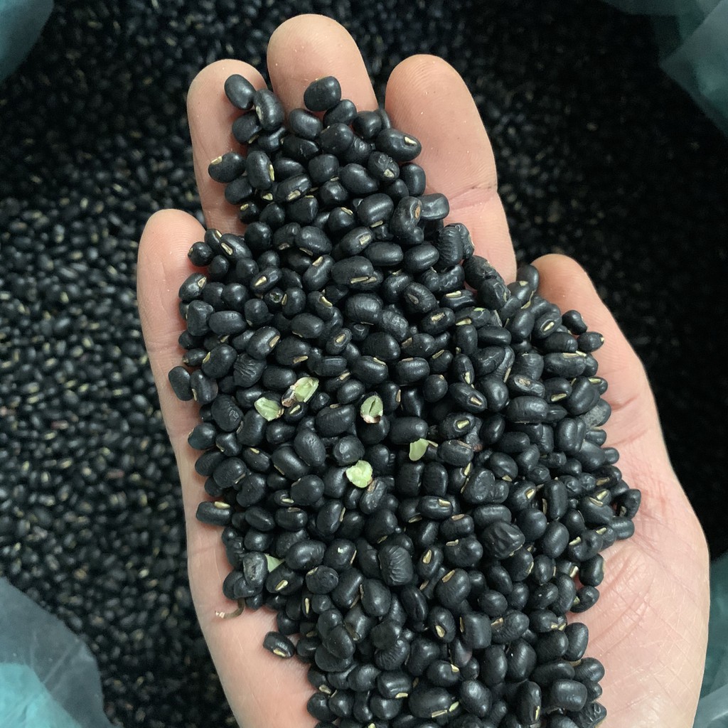 1 kg đậu đen lòng xanh sạch organic (hàng loại 1)