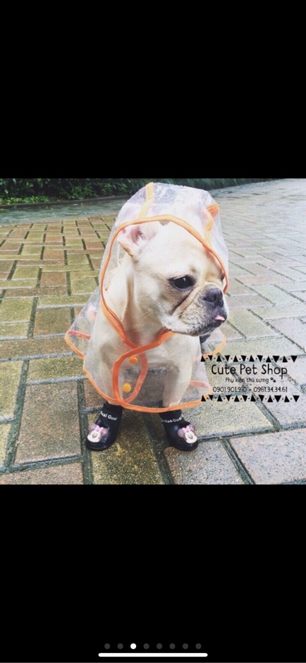 Áo mưa trong suốt cho cún mèo🐶😻