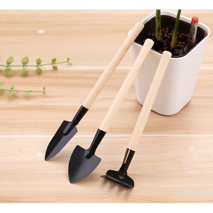 Bộ Dụng Cụ Làm Vườn Mini 3 Món Tiện Dụng A92
