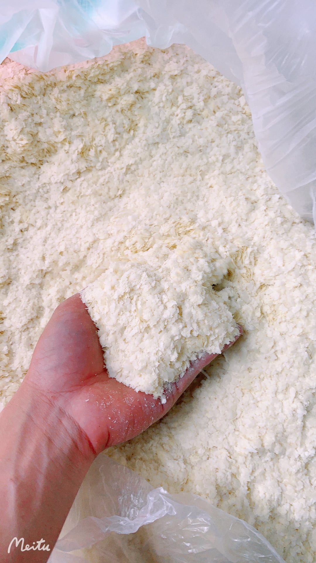 Mồi câu cá Bông Tuyết Câu đài, câu lancer