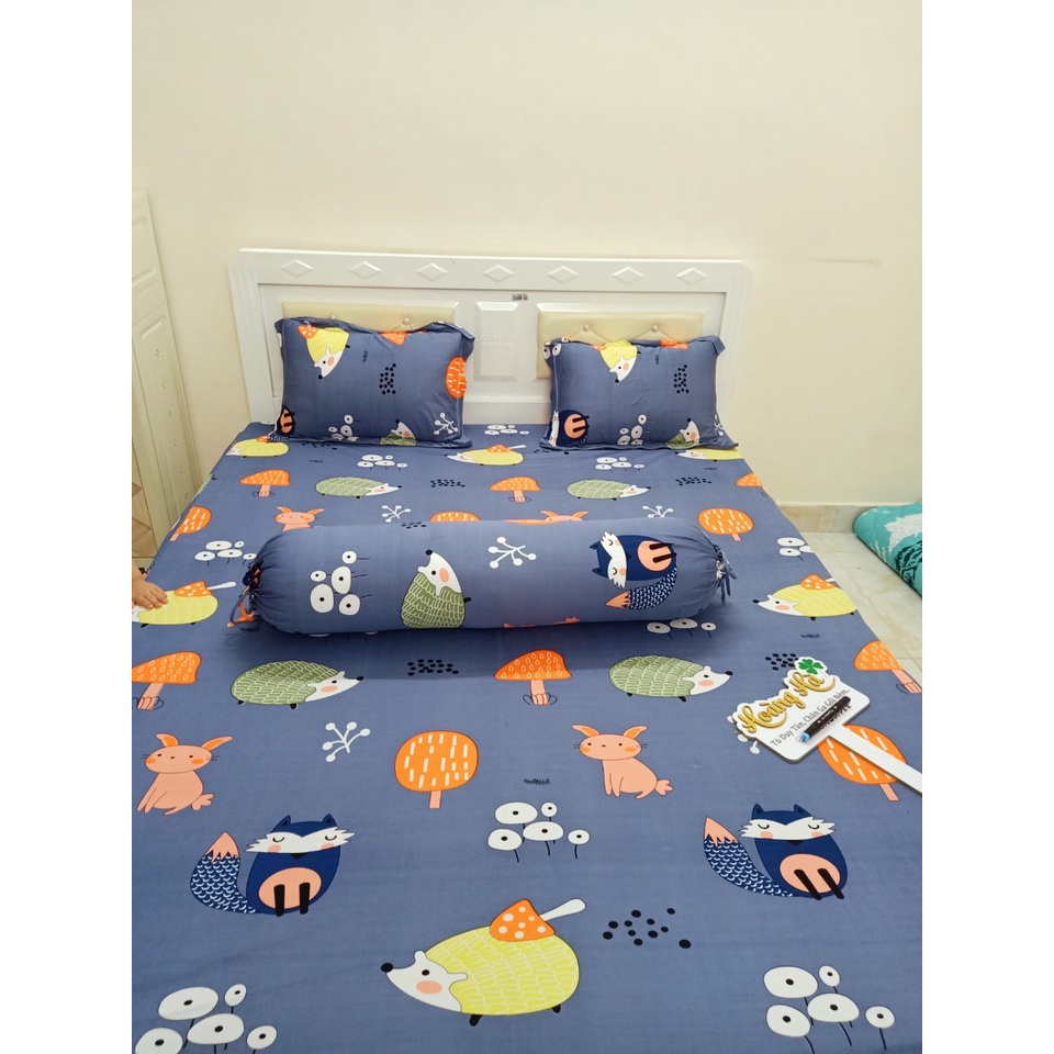 Drap thun Hàn quốc đủ size