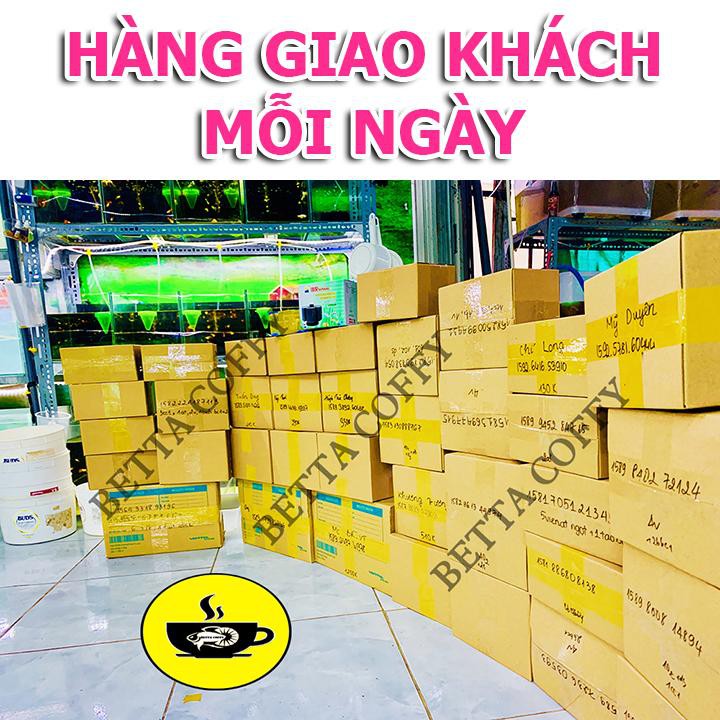 Cám CC Red Thức ăn cho cá BETTA và GUPPY