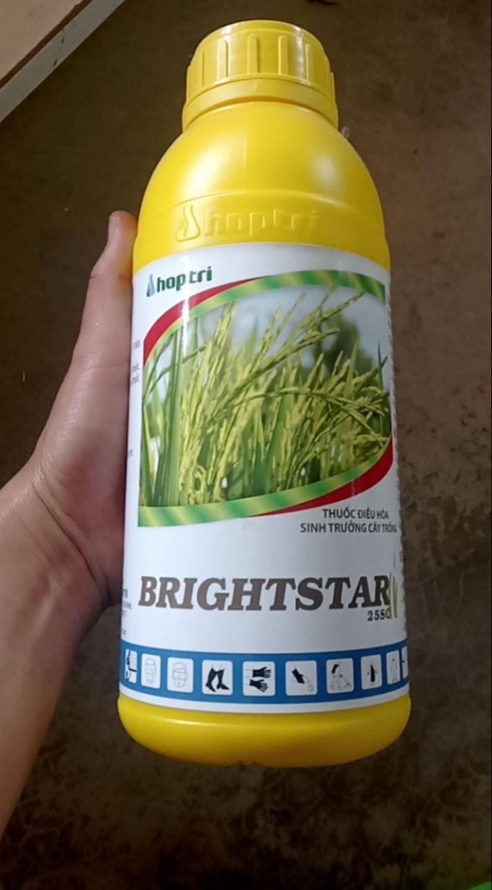 Sản phẩm điều hòa sinh trưởng cây trồng brightsar 25sc