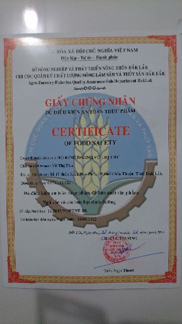 500gr Hạt Sachi Organic ĐăkLăk sấy chín (Hạt Sa chi)