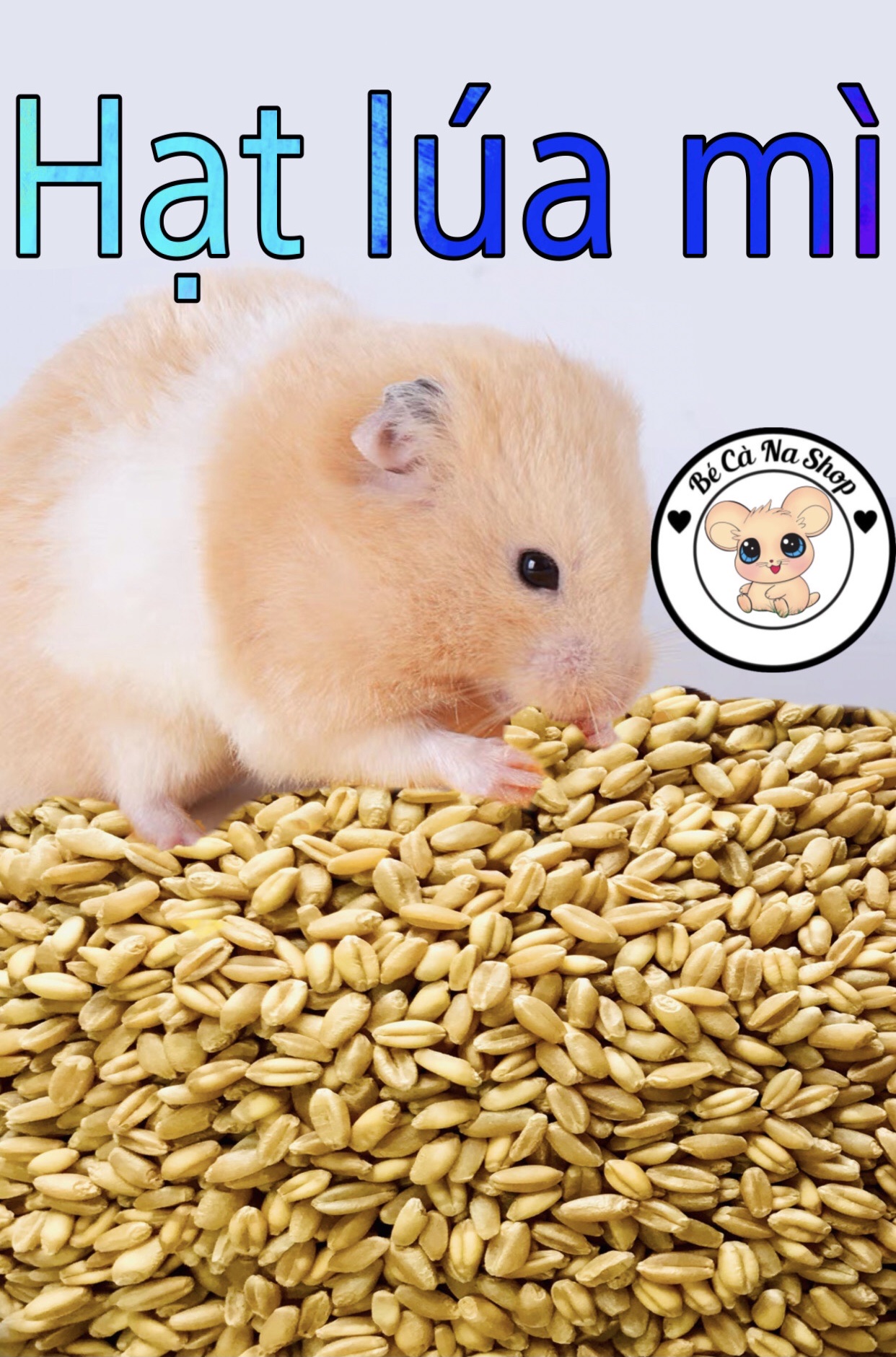 hạt lúa mì cho hamster