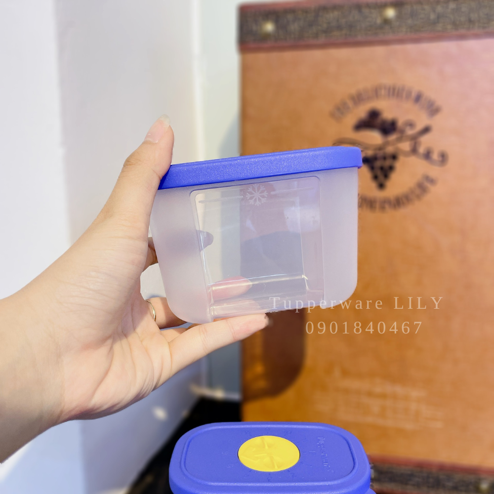Hộp đông 290ml có nút ghi nhớ thời gian - Tupperware