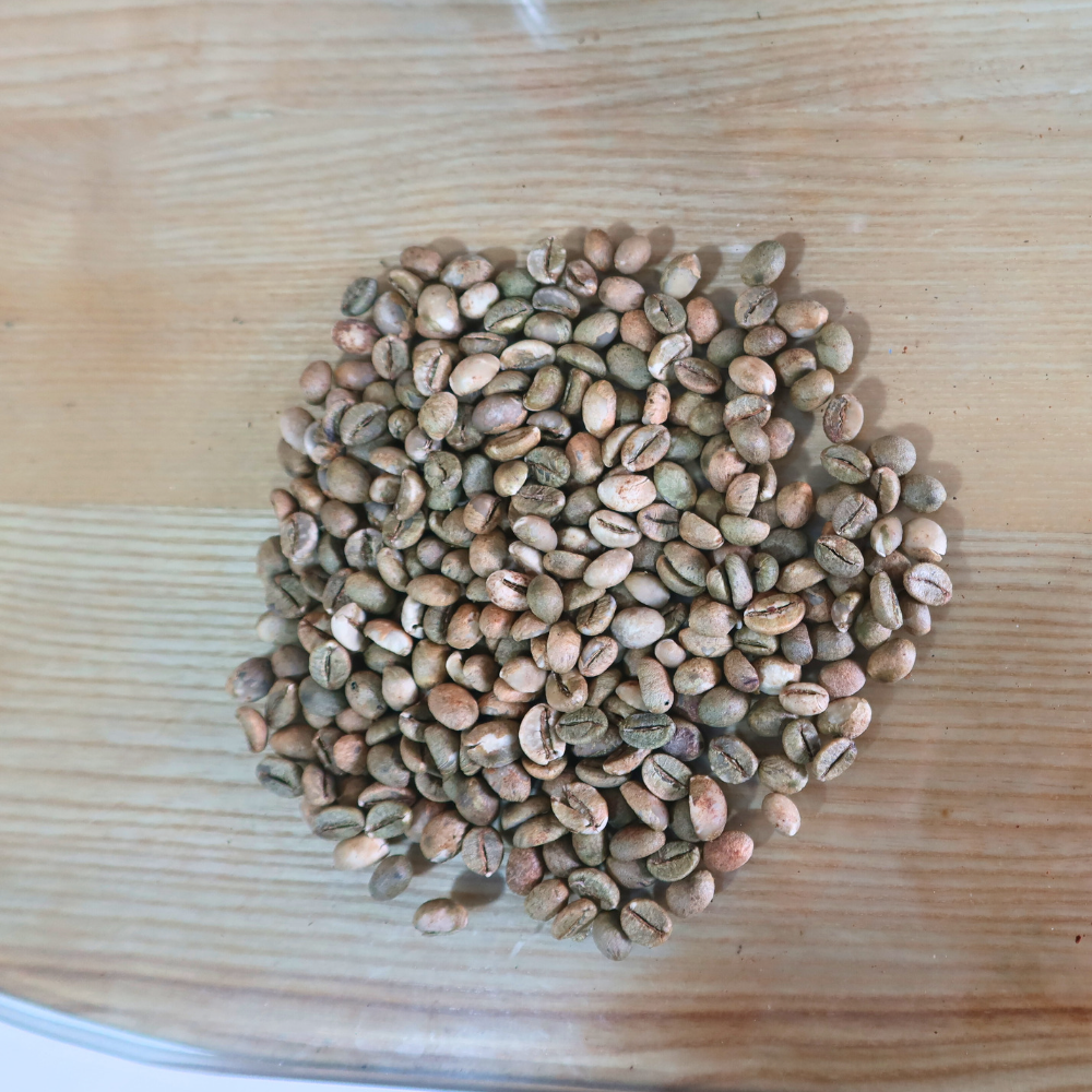 Cà Phê Nhân Sống Robusta Giống BigFarm Pro 3, chưa rang xay nguyên chất sạch vỏ, đủ độ ẩm 1Kg