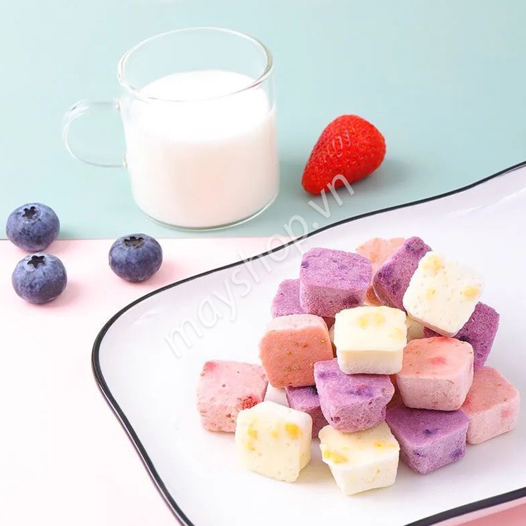 Sữa chua sấy khô nhiều vị trái cây