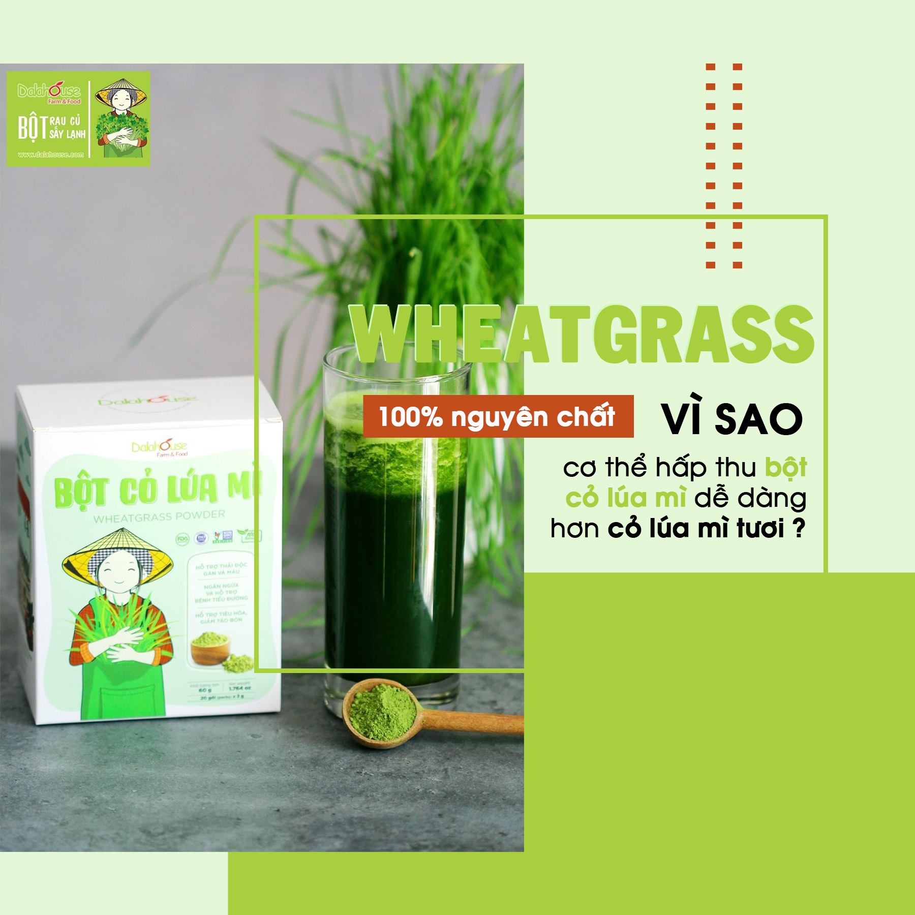 Bột Cỏ Lúa Mì Nguyên Chất Sấy Lạnh Dalahouse 60g (20 gói * 3g)