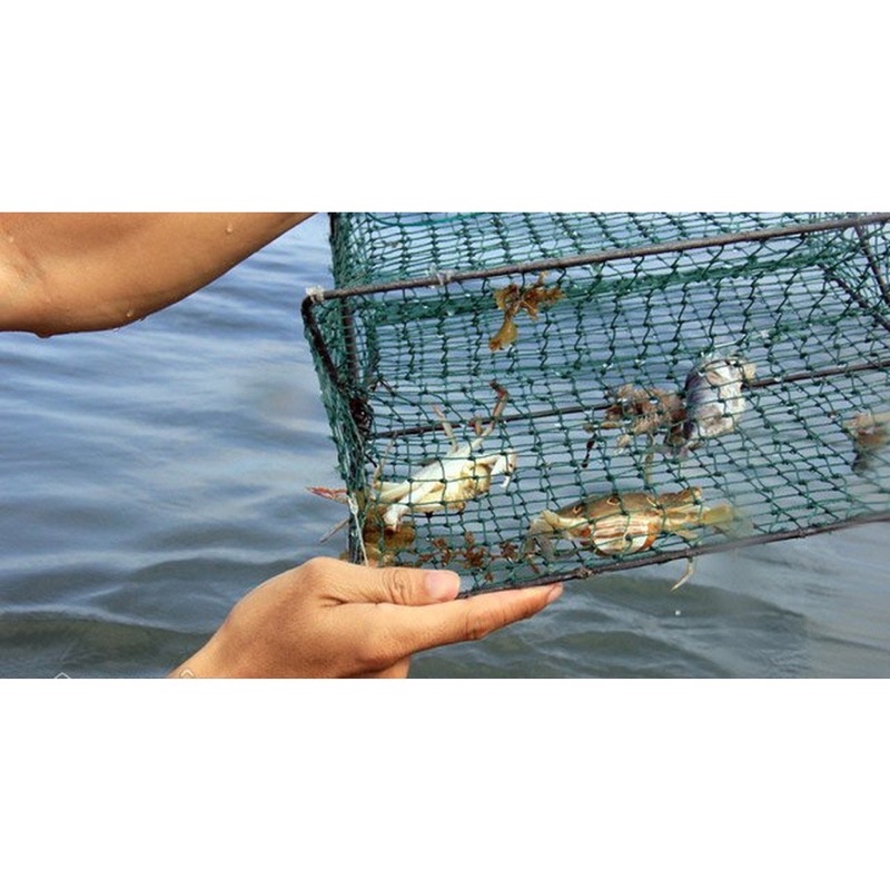 Lồng bẫy cua - Dập Bẫy Cua Ghẹ biển