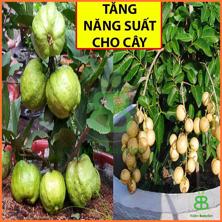 Phân Ure (Đạm) Phú  Mỹ 1kg