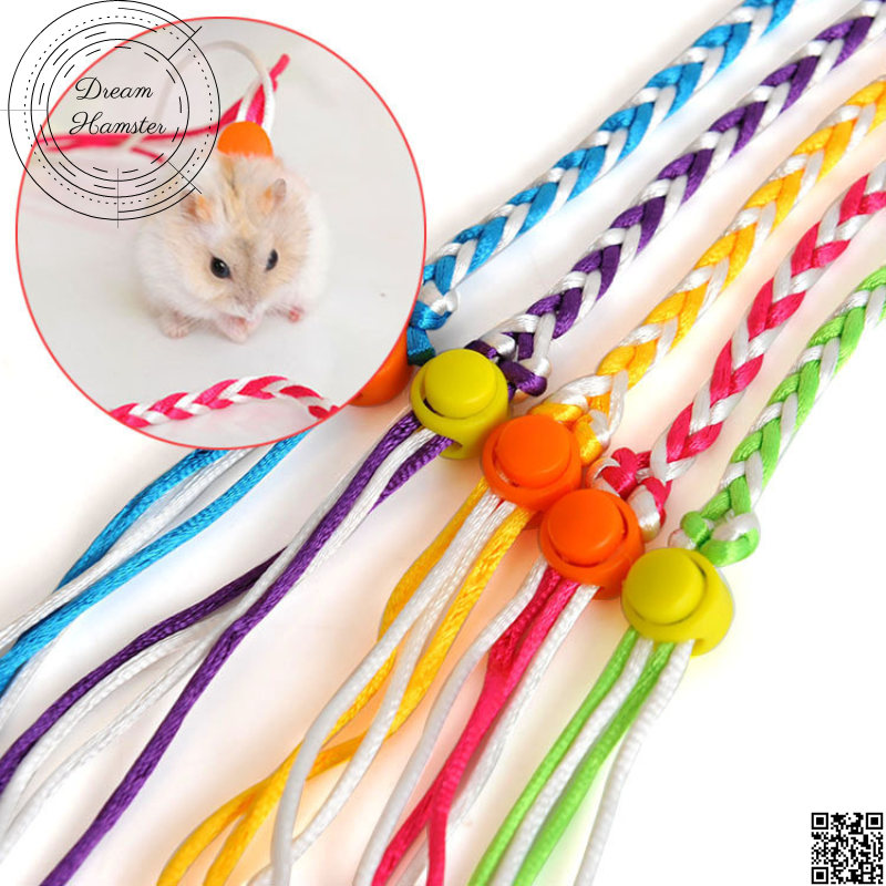 Dây dắt hamster, sóc và thú nhỏ khác