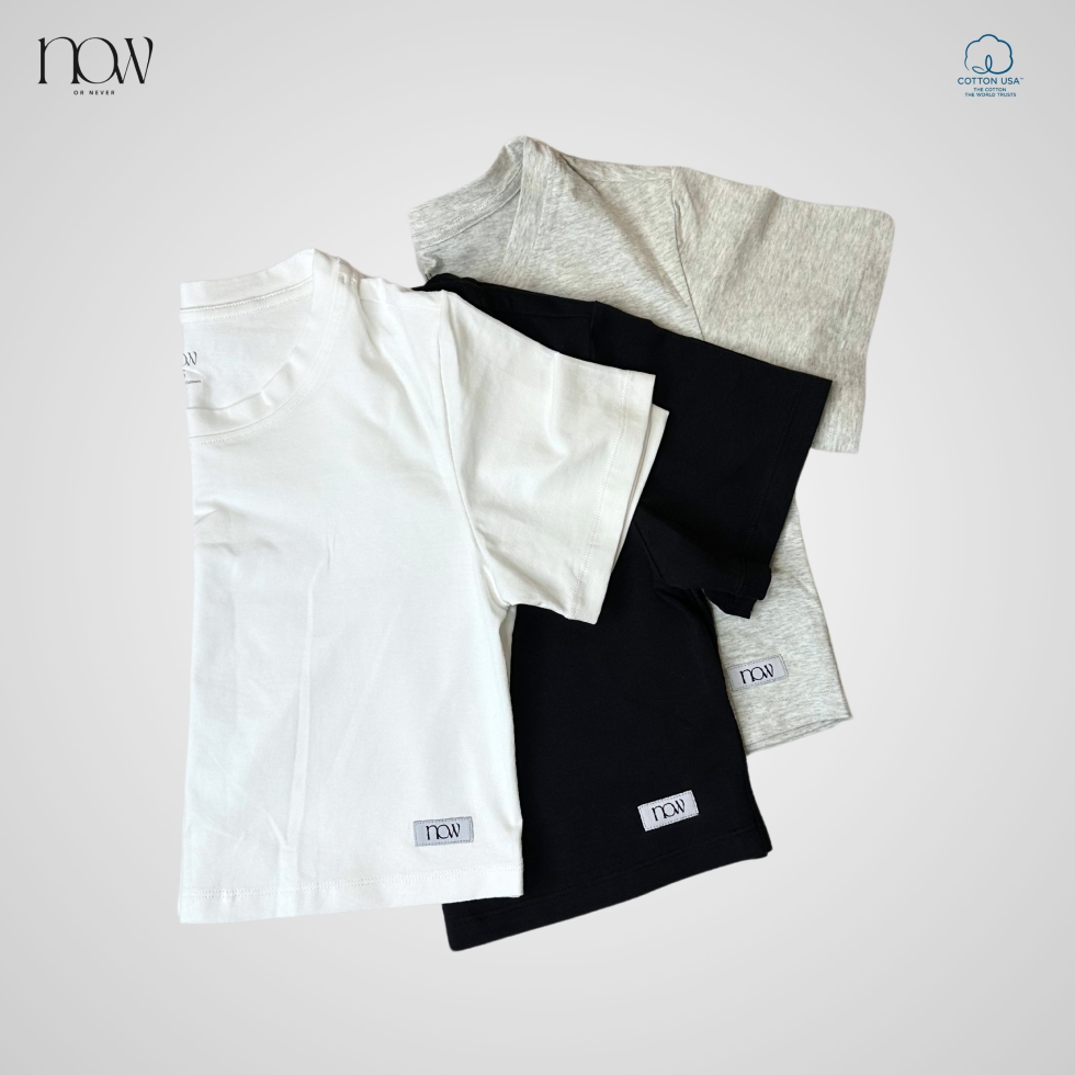 Combo 3 áo thun mặc nhà basic tee cotton usa - now wear