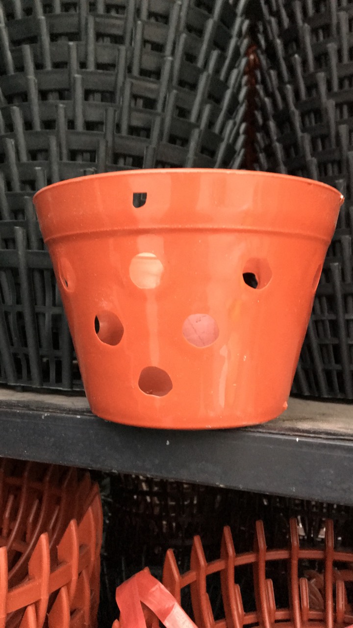 Bộ 10 Chậu nhựa giả đất nung size 20cm