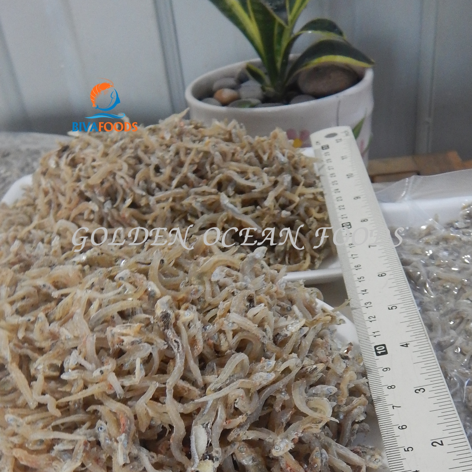 Khô Cá Cơm Mờm Đặc Biệt - Thực Phẩm BIỂN VÀNG