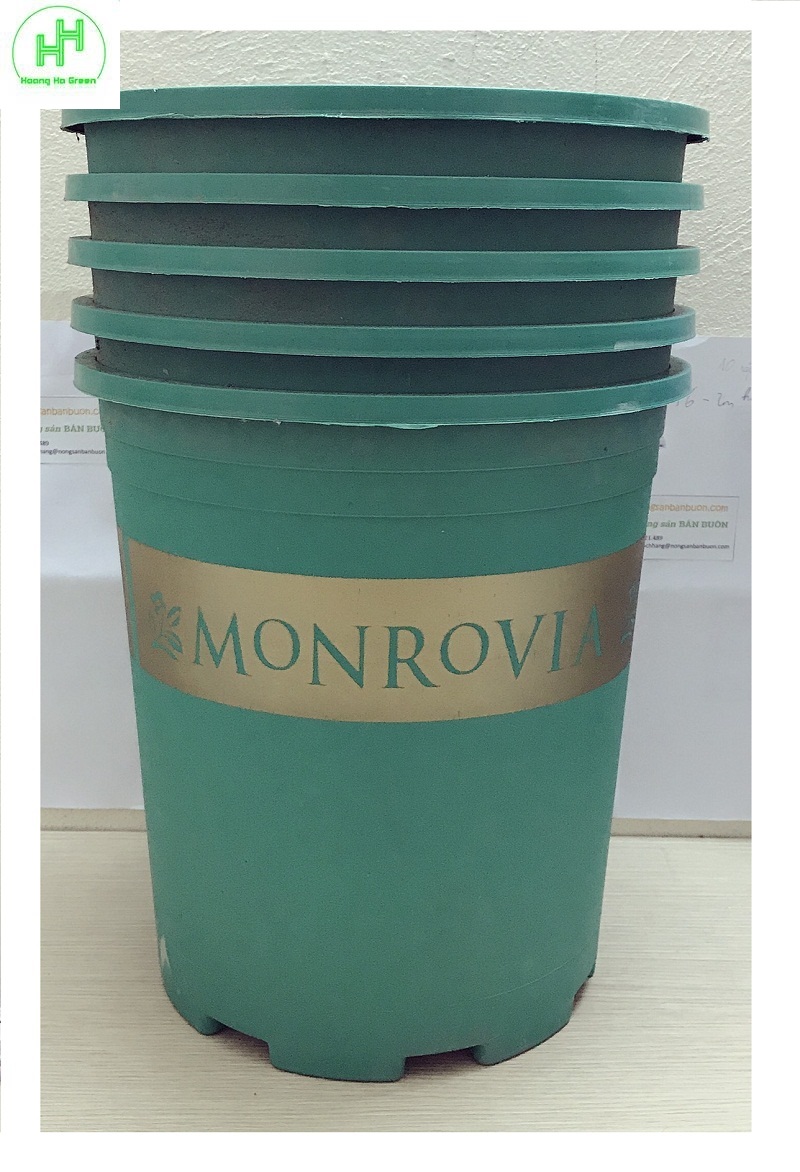 5 chậu trồng hoa , cây cảnh monrovia màu xanh 5gal