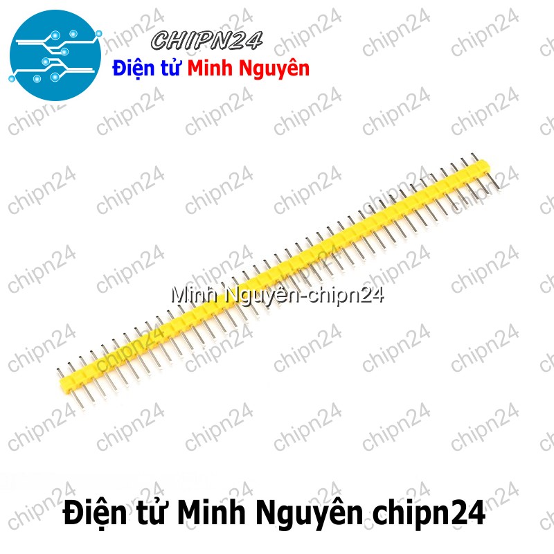[3 cây] (H54) Header Hàng rào Đực Đơn Thẳng 2.54MM 1x40p (Đen/Đỏ/Vàng/Xanh Lá/Dương/Trắng) - [Chọn Loại] - HHH.00081