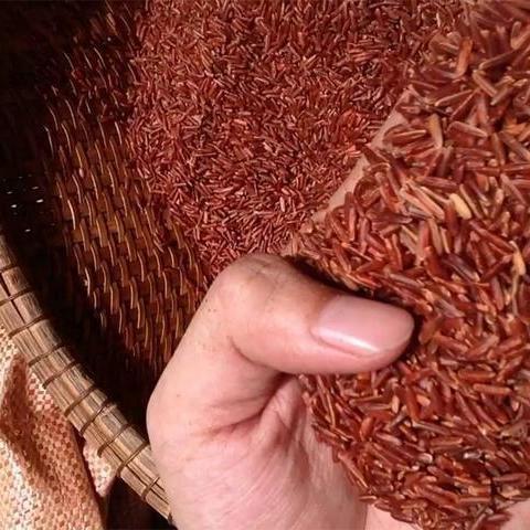 [Giá Xưởng] 1KG bột mè đen gạo lức huyết rồng
