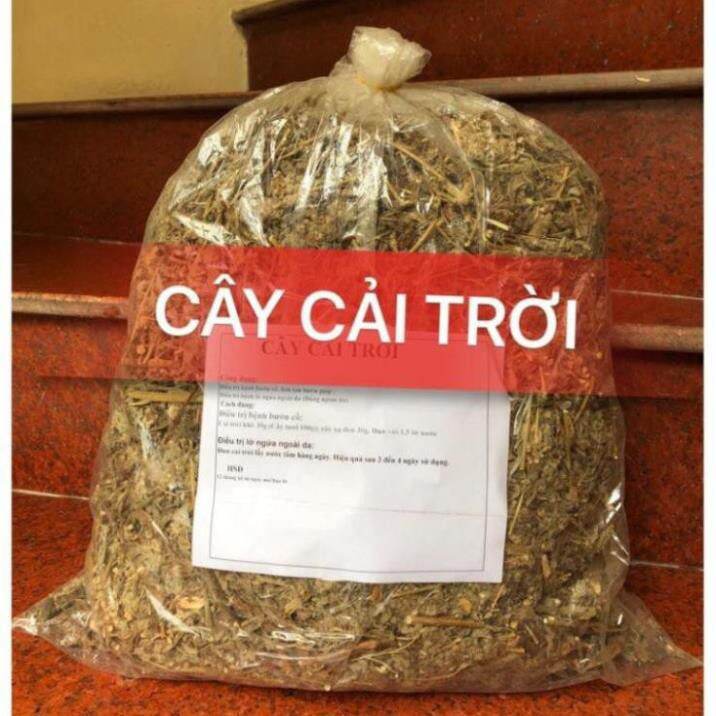 1kg cây cải trời khô