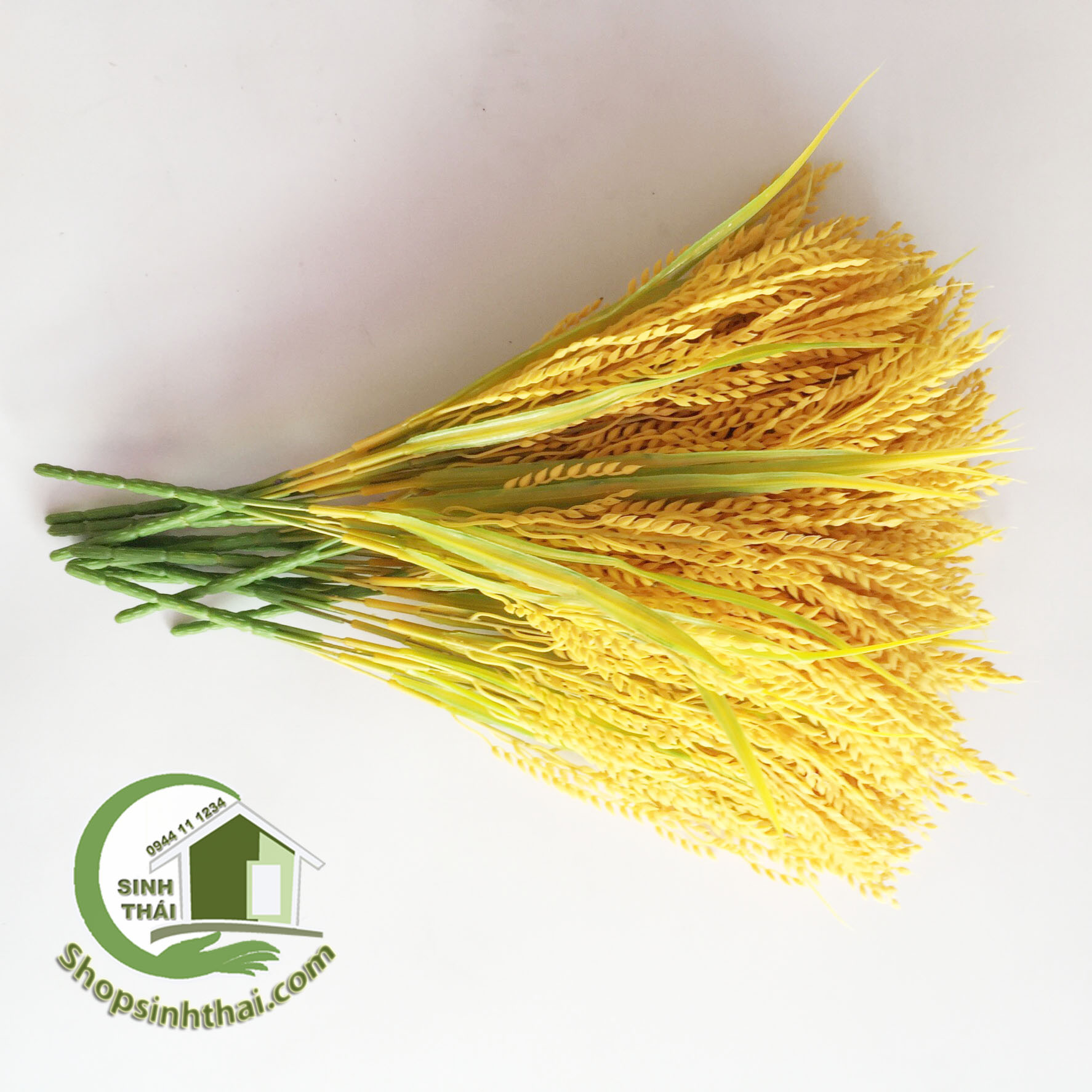 [HCM]Bụi Cây Bông Lúa Vàng Cao 50cm - Bụi Cỏ Lúa Vàng [ 1 bụi ]