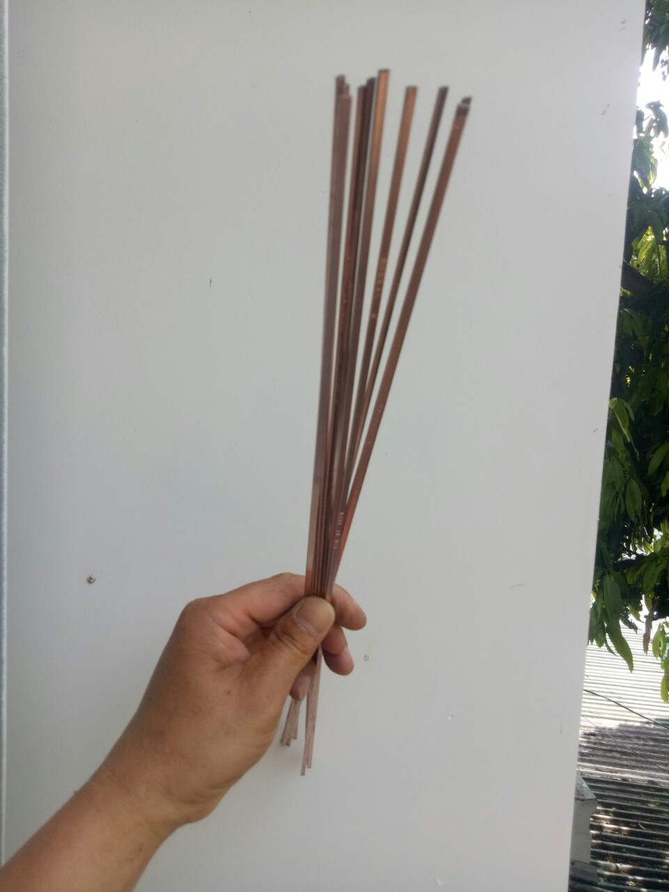 10 CÂY BẠC HÀN