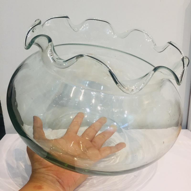 Hồ cá để bàn Bể cá Mini thủy sinh TAI BÈO, chậu cây phong thủy thủy tinh size 15*20 BT-HB2