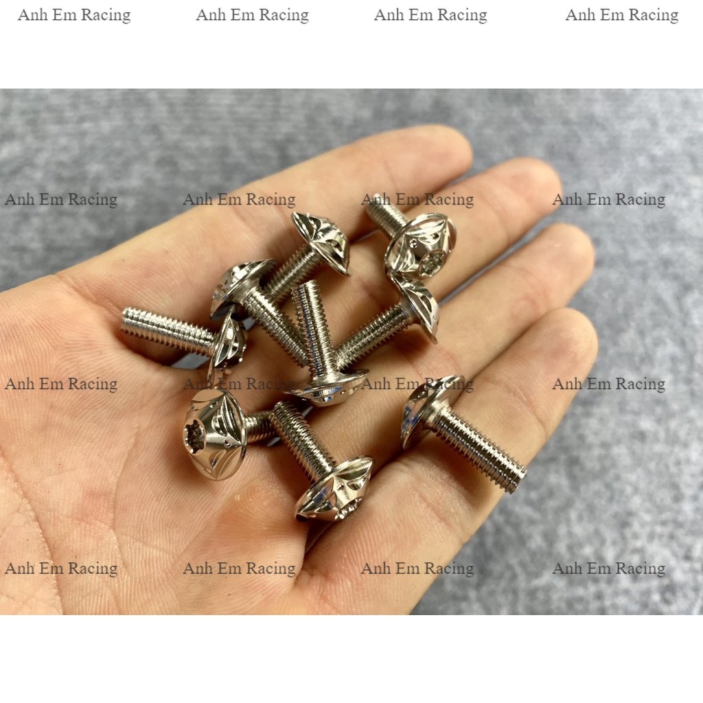 Ốc áo salaya sao size 5li 6li