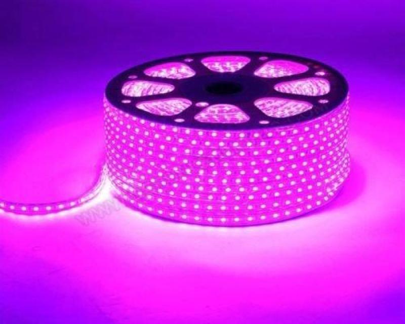 Bộ 10m đèn Led dây 5050/220V màu hồng + 1 đầu nối dây nguồn