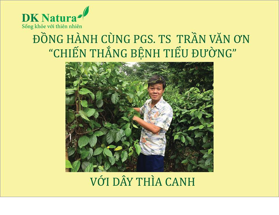 TRÀ TÚI LỌC DÂY THÌA CANH DK