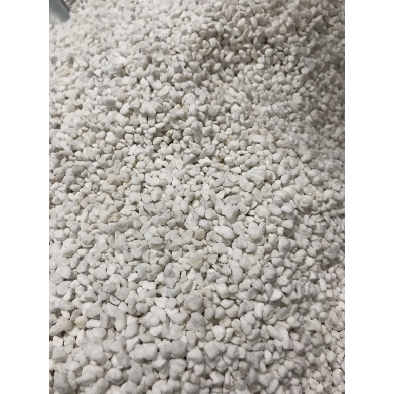 1kg Đá perlite trân châu siêu nhẹ - Túi 10Lit