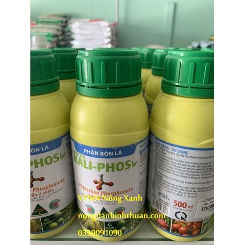 Phân bón KALI PHOS lưu dẫn 2 chiều trừ bệnh thối rể sì mủ