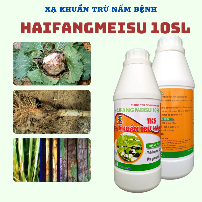 Xạ khuẩn Trừ Bệnh VALIDAMYCIN 10SL (10%)  Chai 900ml: thối nhũn dưa, thối rễ, héo xanh
