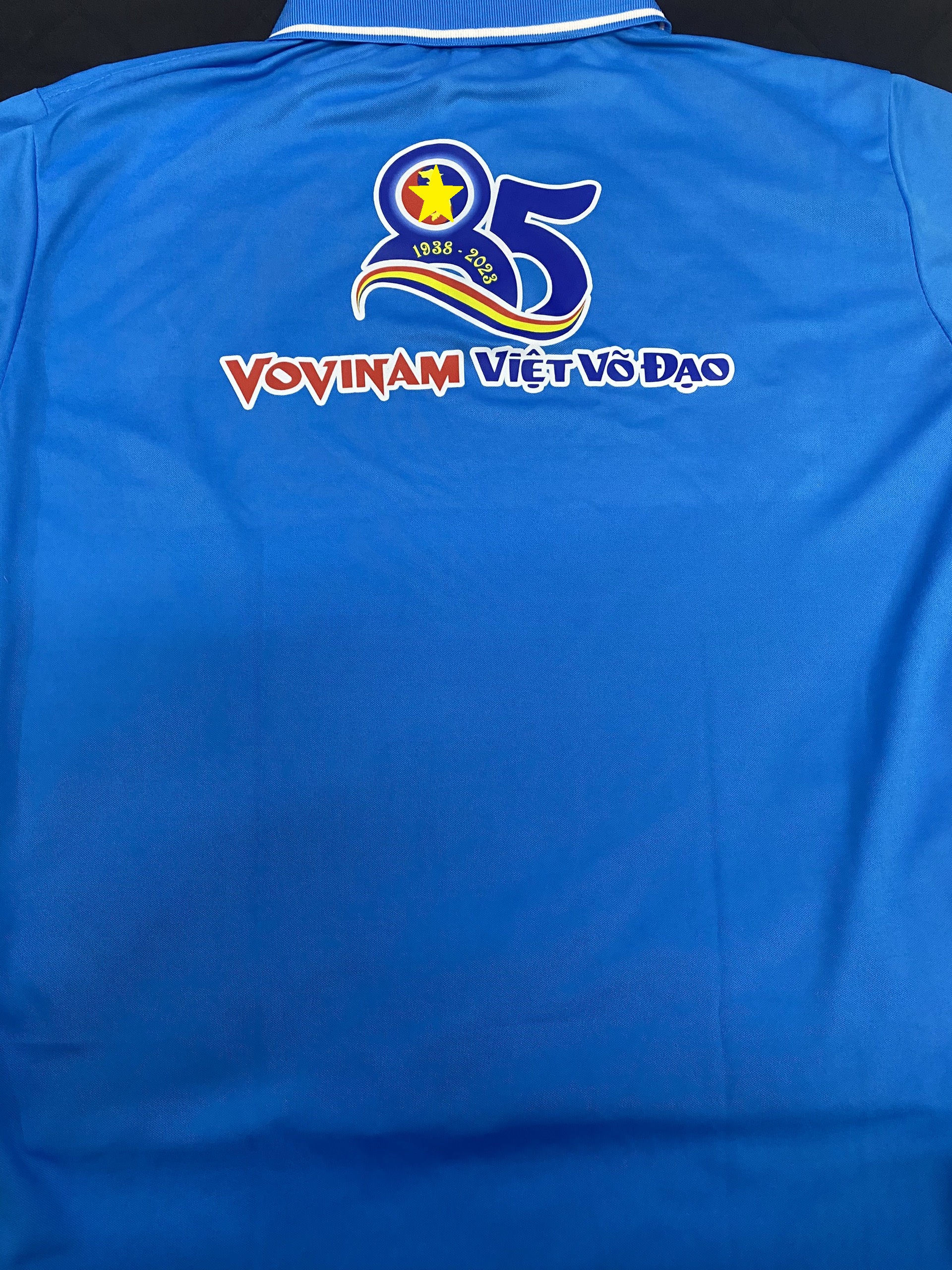 {ÁO THUN POLY CÓ CỔ} IN 85 NĂM VOVINAM MÔN PHÁI AILAIKIT