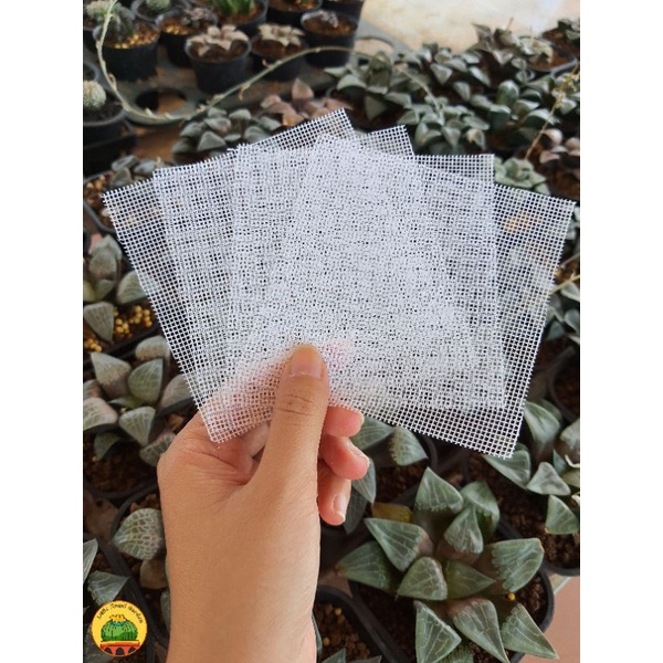 [Mã LIFE50K giảm 10% đơn 200k] 1 Lưới lót chậu, kích thước 10 x 10cm