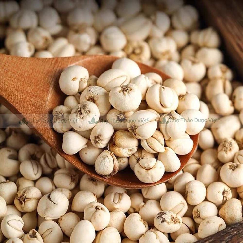 Thổ bối mẫu 100g, khô, sạch, thơm, dùng pha trà, hầm canh, hỗ trợ giảm ho đau họng, tiêu đờm, bổ phế