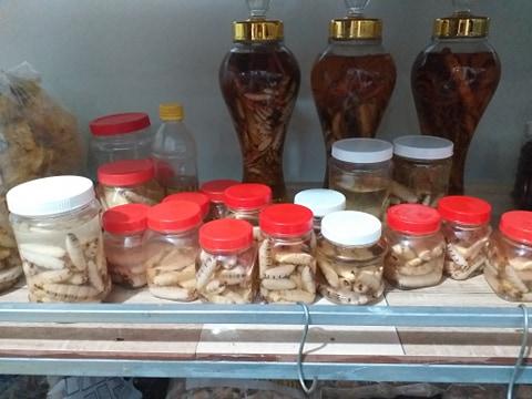 Bà Mối Lớn 20 con