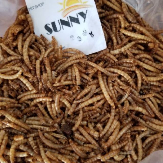 Sâu Trung Rang Cho Hamster,Sóc,Nhím 100G