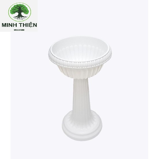 [HCM]Chậu Ly Nhựa Có Chân Đế Thấp