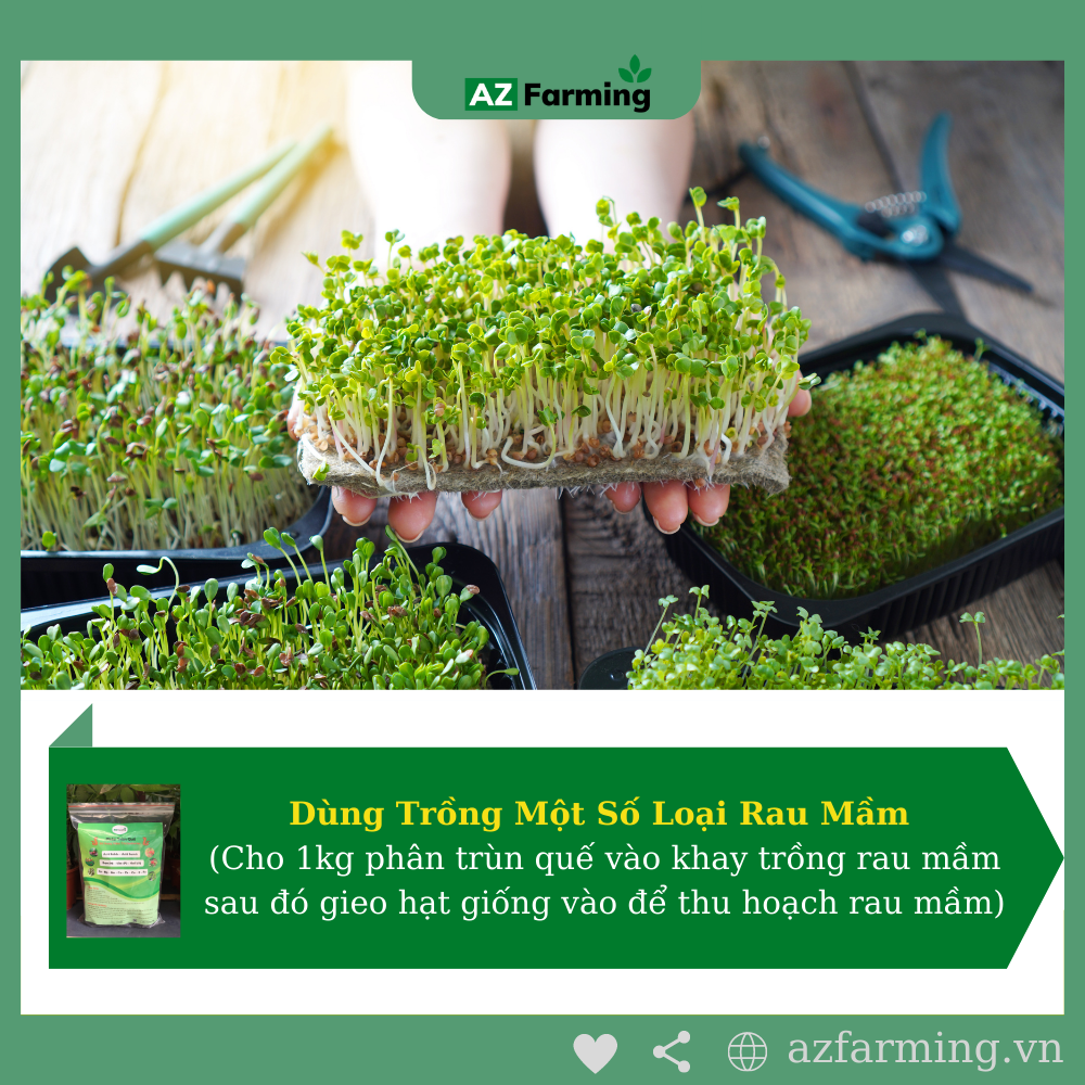 Phân Trùn Quế Hữu Cơ Bổ Sung Nấm Trichoderma - Gói 1kg - AZ Farming