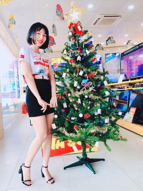 Christmas Tree (Height 150cm)