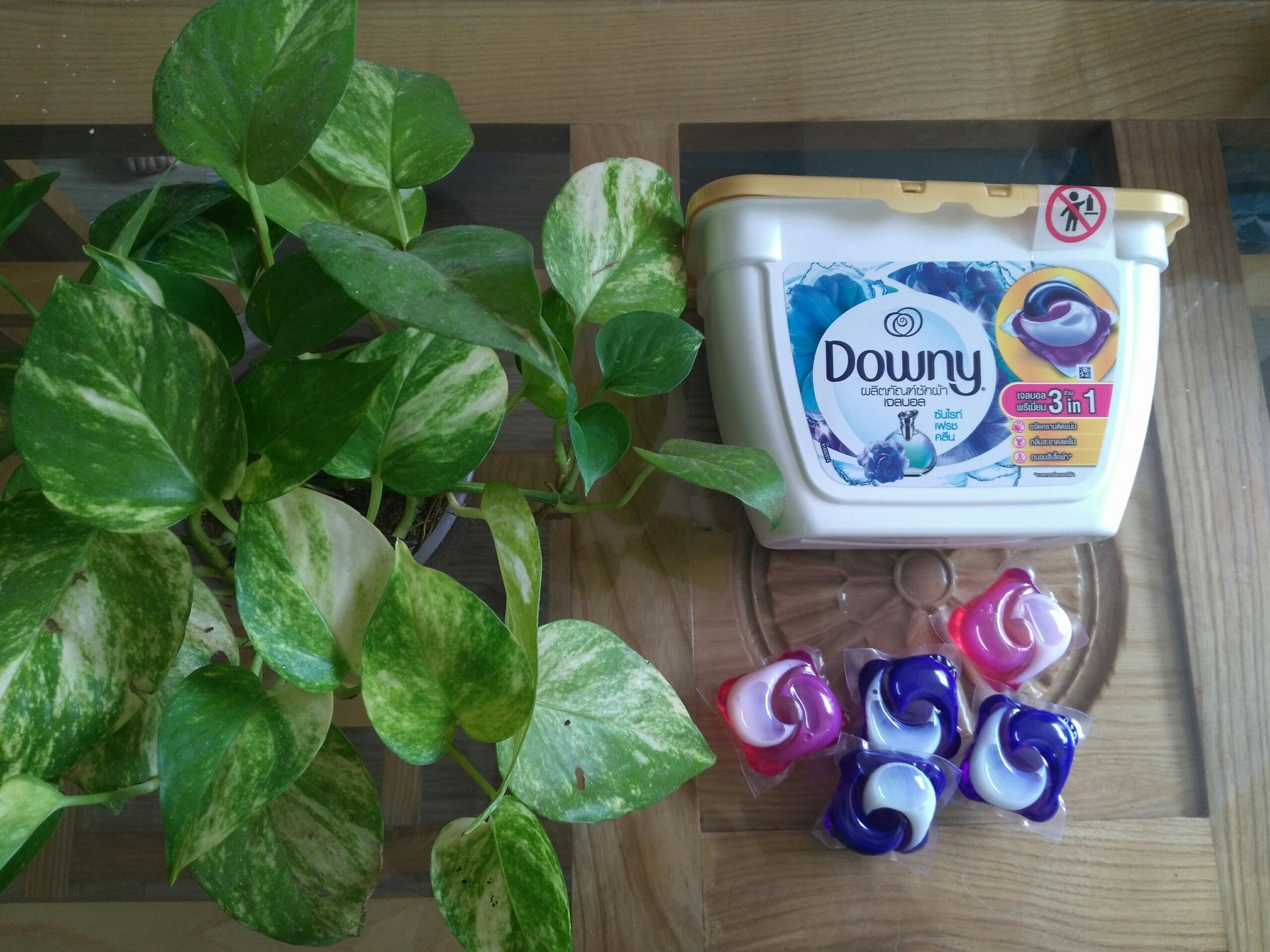 Viên Giặt  Xả Downy 3 in 1 Thái Lan