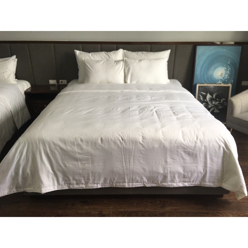 ruột chăn khách sạn 2x2,2m