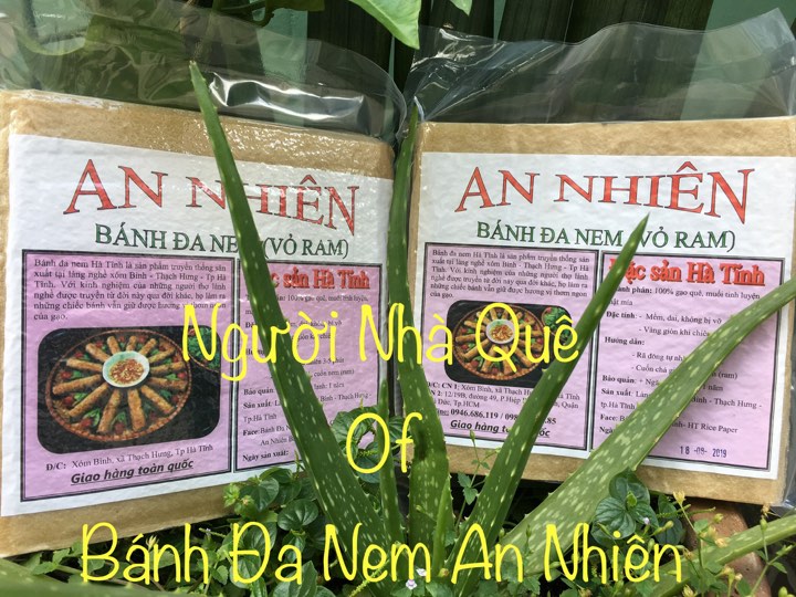 BÁNH ĐA NEM HÀ TĨNH