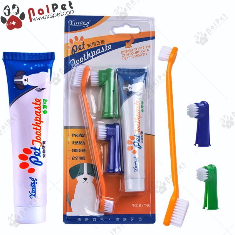 Bộ Đánh Răng Kem Đánh Răng Bàn Chải Đánh Răng Chó Mèo Pet Joothpaste